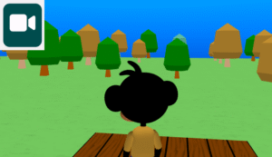 The fly camera tool.